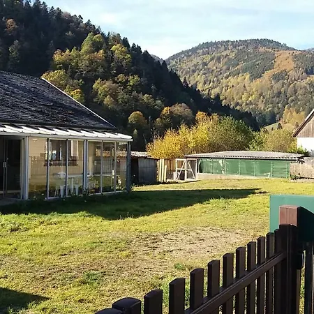 9 Rue Du Bourbach Holiday home Kruth